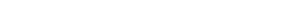 GlobalGuard - logo - white transparent bg